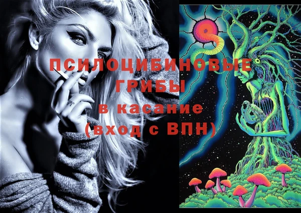 индика Новодвинск