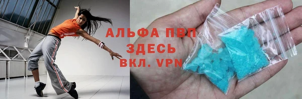 индика Новодвинск