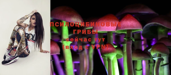 spice Абаза
