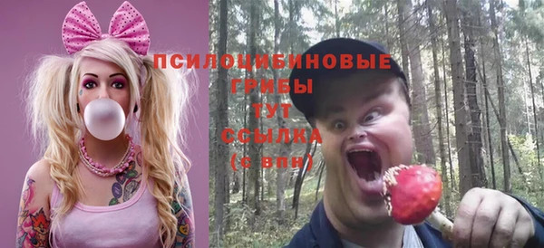 spice Абаза