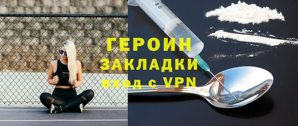 индика Новодвинск